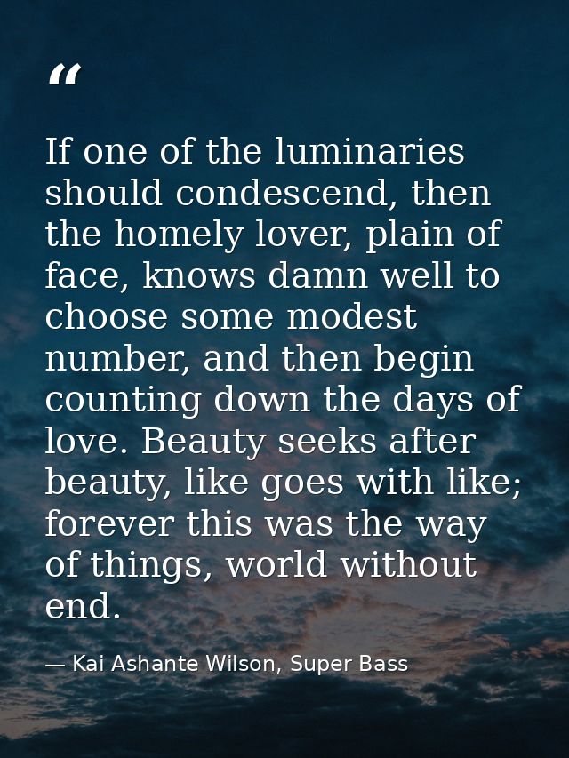 If one of the luminaries should condescend, then the homely lover, plain of face, knows damn well to choose some modest  — Kai Ashante Wilson, Super Bass