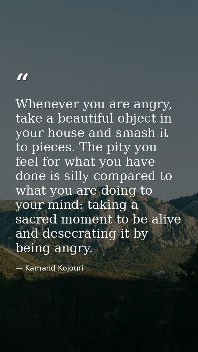 Whenever you are angry, take a beautiful object in your house and smash it to pieces. The pity you feel for what you hav — Kamand Kojouri