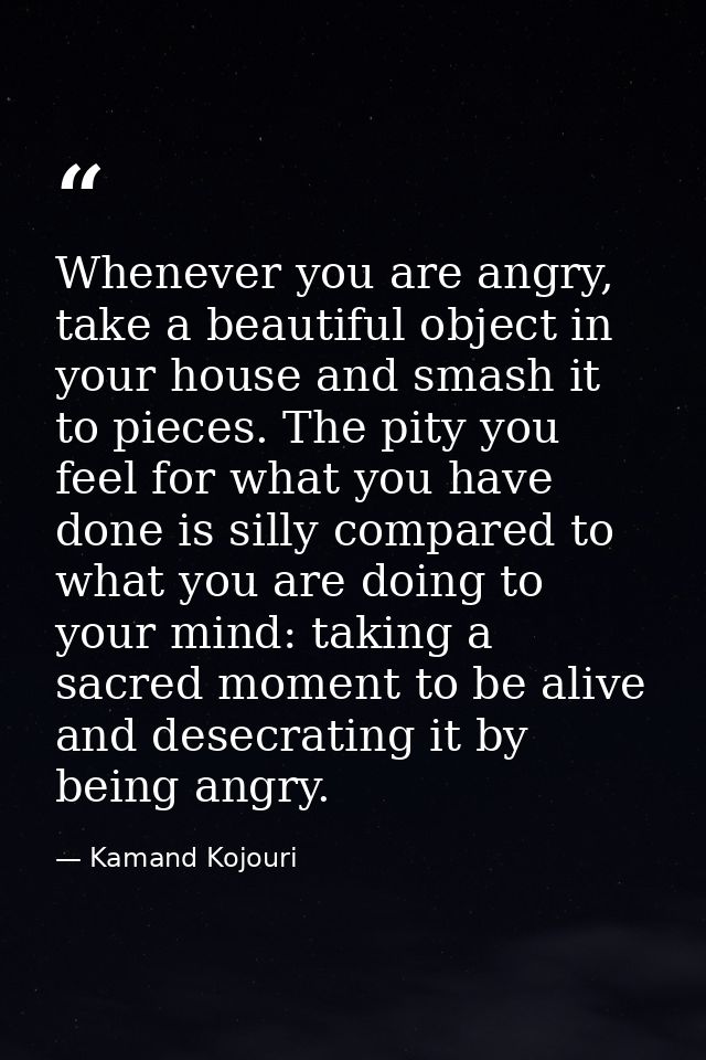 Whenever you are angry, take a beautiful object in your house and smash it to pieces. The pity you feel for what you hav — Kamand Kojouri