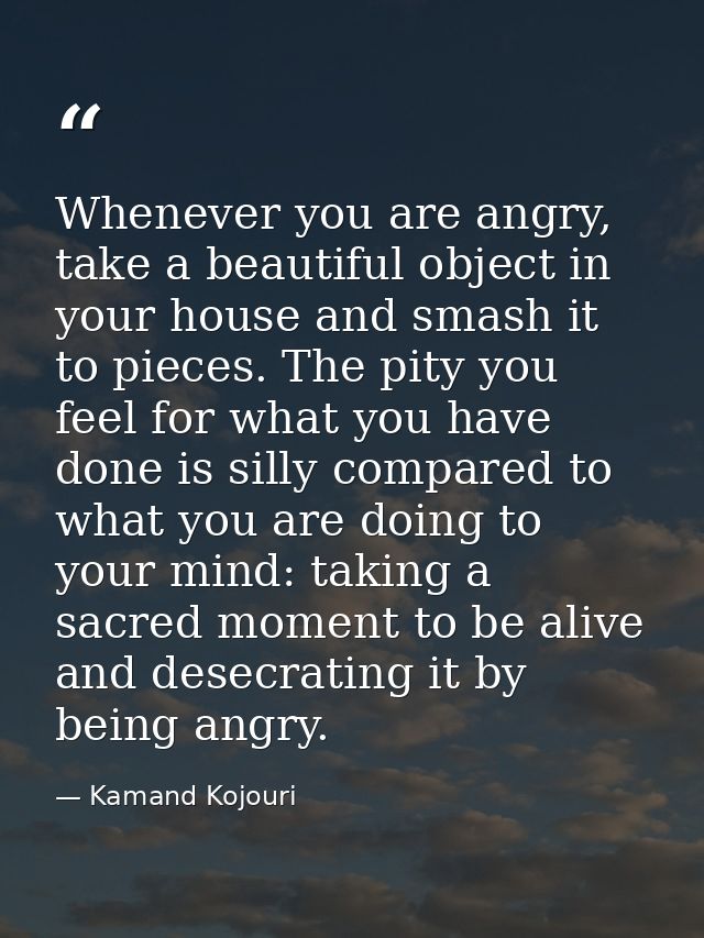 Whenever you are angry, take a beautiful object in your house and smash it to pieces. The pity you feel for what you hav — Kamand Kojouri