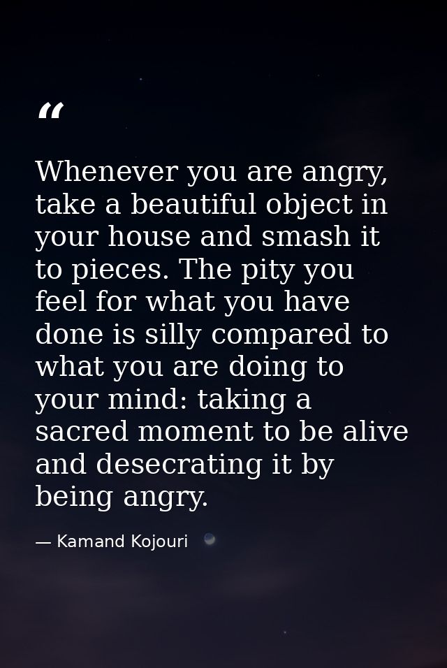 Whenever you are angry, take a beautiful object in your house and smash it to pieces. The pity you feel for what you hav — Kamand Kojouri