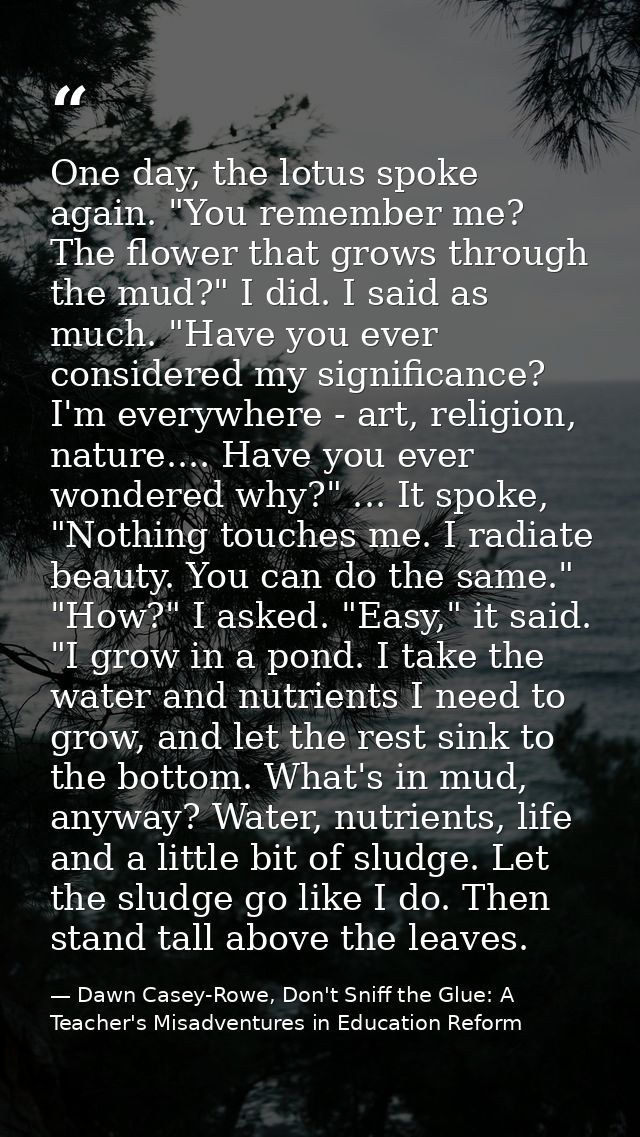 One day, the lotus spoke again. "You remember me? The flower that grows through the mud?" I did. I said as much. "Have y — Dawn Casey-Rowe, Don't Sniff the Glue: A Teacher's Misadventures in Education Reform