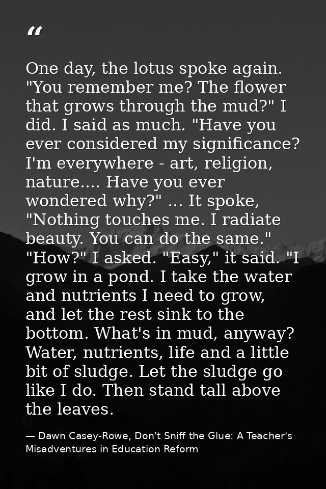 One day, the lotus spoke again. "You remember me? The flower that grows through the mud?" I did. I said as much. "Have y — Dawn Casey-Rowe, Don't Sniff the Glue: A Teacher's Misadventures in Education Reform