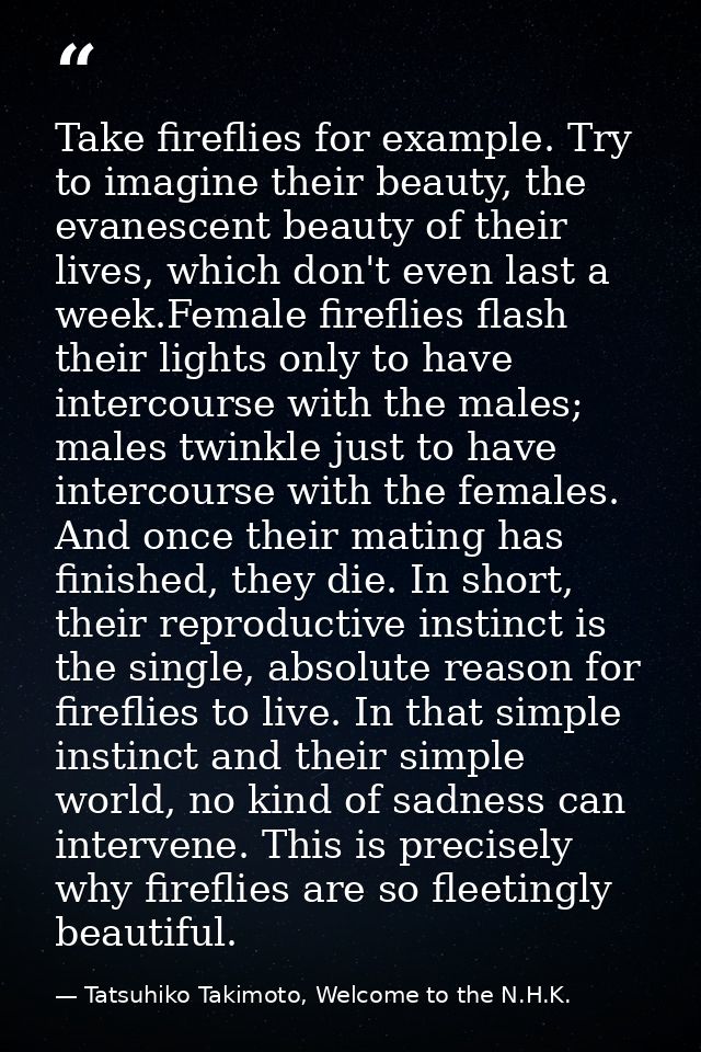 Take fireflies for example. Try to imagine their beauty, the evanescent beauty of their lives, which don't even last a w — Tatsuhiko Takimoto, Welcome to the N.H.K.