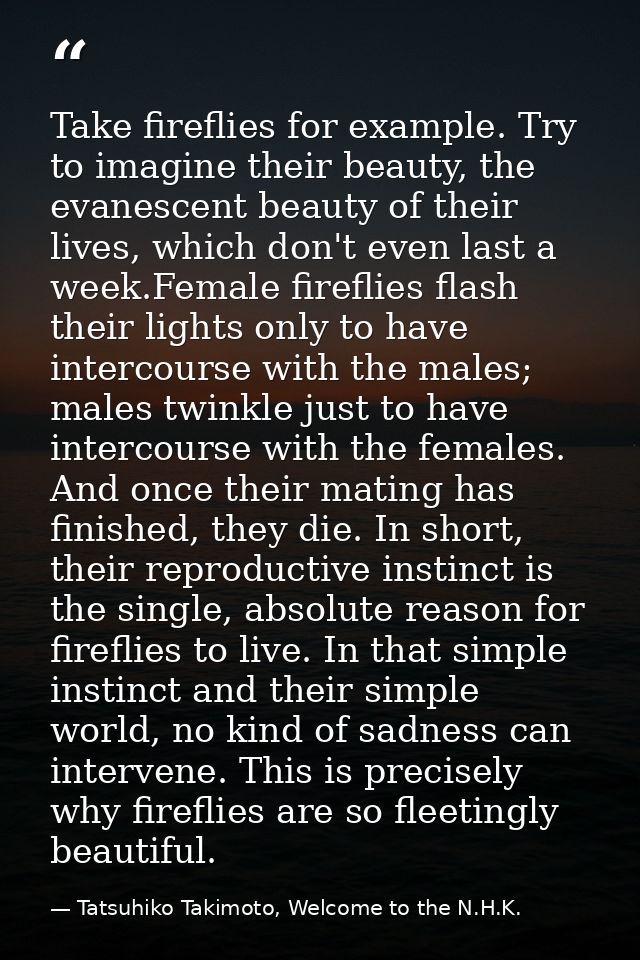 Take fireflies for example. Try to imagine their beauty, the evanescent beauty of their lives, which don't even last a w — Tatsuhiko Takimoto, Welcome to the N.H.K.
