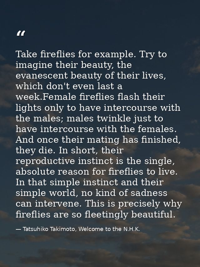 Take fireflies for example. Try to imagine their beauty, the evanescent beauty of their lives, which don't even last a w — Tatsuhiko Takimoto, Welcome to the N.H.K.