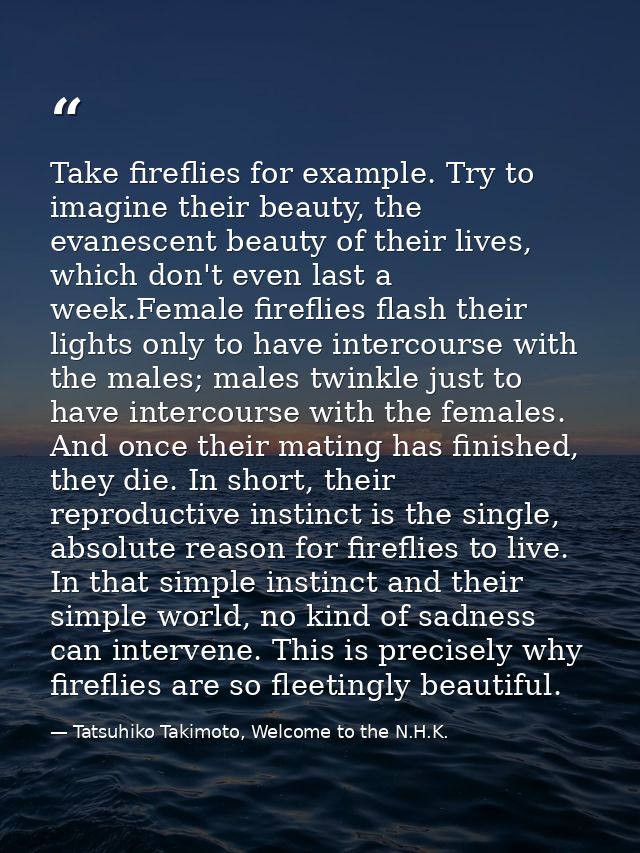 Take fireflies for example. Try to imagine their beauty, the evanescent beauty of their lives, which don't even last a w — Tatsuhiko Takimoto, Welcome to the N.H.K.