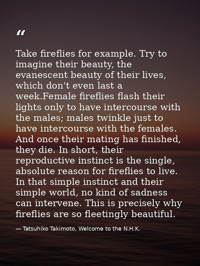 Take fireflies for example. Try to imagine their beauty, the evanescent beauty of their lives, which don't even last a w — Tatsuhiko Takimoto, Welcome to the N.H.K.
