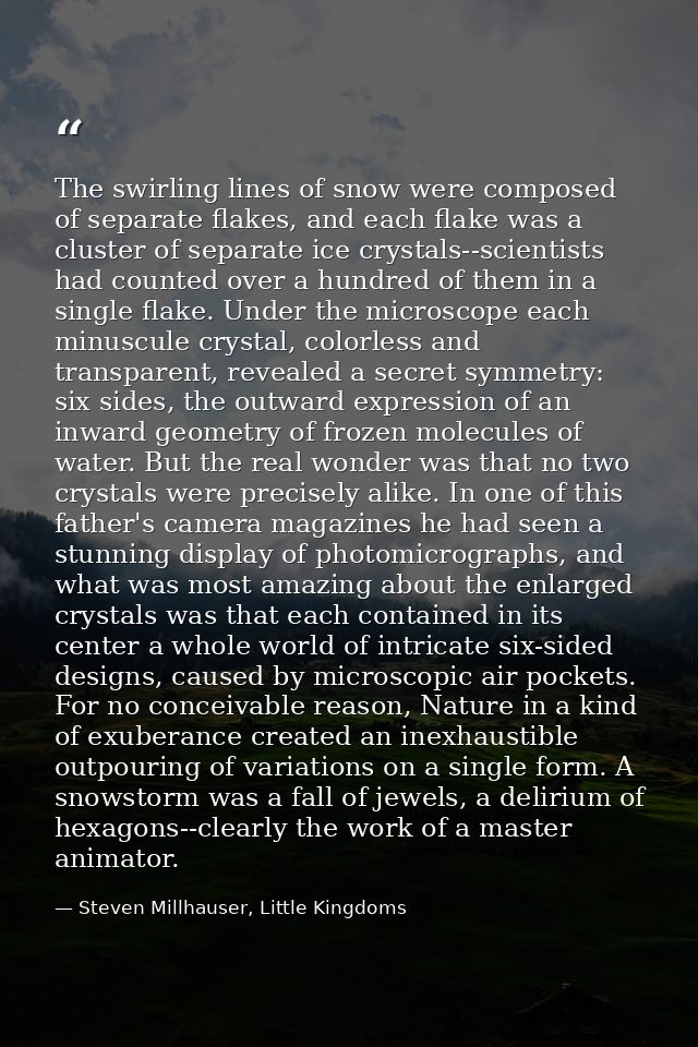 The swirling lines of snow were composed of separate flakes, and each flake was a cluster of separate ice crystals--scie — Steven Millhauser, Little Kingdoms
