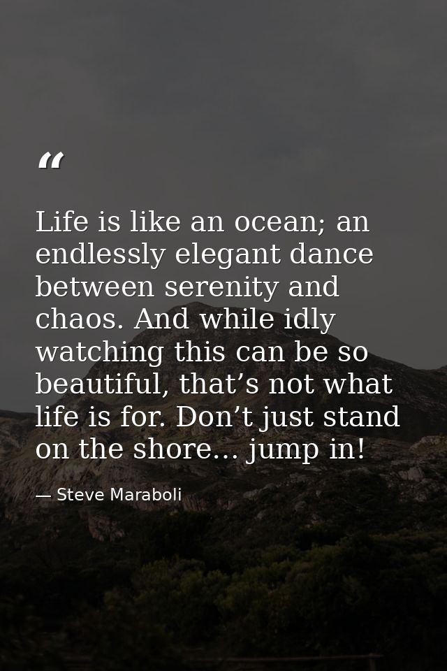 Life is like an ocean; an endlessly elegant dance between serenity and chaos. And while idly watching this can be so bea — Steve Maraboli