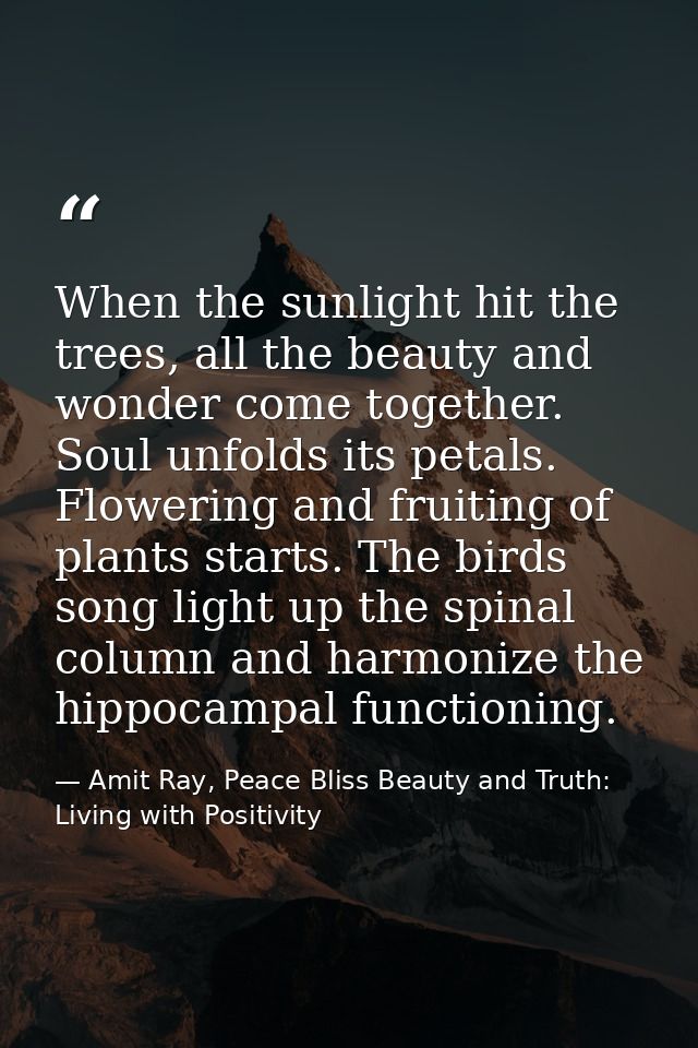 When the sunlight hit the trees, all the beauty and wonder come together. Soul unfolds its petals. Flowering and fruitin — Amit Ray, Peace Bliss Beauty and Truth: Living with Positivity