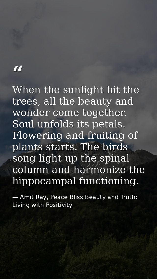 When the sunlight hit the trees, all the beauty and wonder come together. Soul unfolds its petals. Flowering and fruitin — Amit Ray, Peace Bliss Beauty and Truth: Living with Positivity