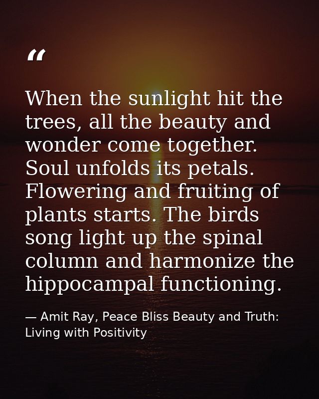 When the sunlight hit the trees, all the beauty and wonder come together. Soul unfolds its petals. Flowering and fruitin — Amit Ray, Peace Bliss Beauty and Truth: Living with Positivity