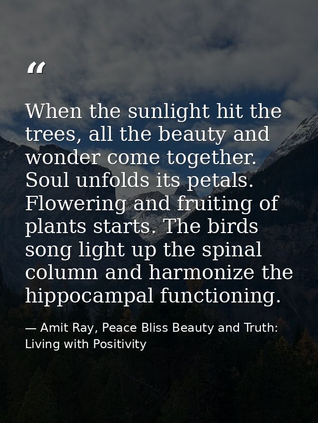When the sunlight hit the trees, all the beauty and wonder come together. Soul unfolds its petals. Flowering and fruitin — Amit Ray, Peace Bliss Beauty and Truth: Living with Positivity