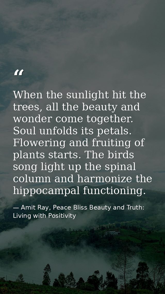 When the sunlight hit the trees, all the beauty and wonder come together. Soul unfolds its petals. Flowering and fruitin — Amit Ray, Peace Bliss Beauty and Truth: Living with Positivity