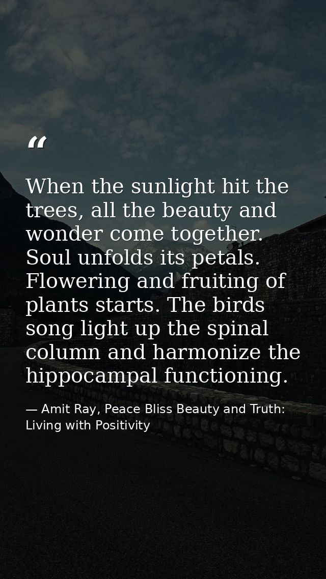 When the sunlight hit the trees, all the beauty and wonder come together. Soul unfolds its petals. Flowering and fruitin — Amit Ray, Peace Bliss Beauty and Truth: Living with Positivity