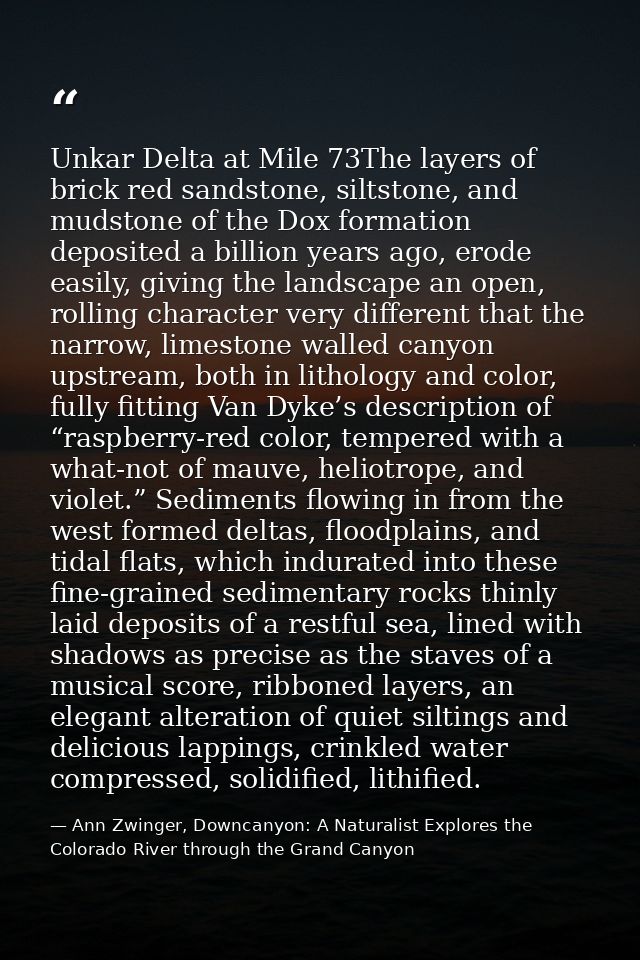 Unkar Delta at Mile 73The layers of brick red sandstone, siltstone, and mudstone of the Dox formation deposited a billio — Ann Zwinger, Downcanyon: A Naturalist Explores the Colorado River through the Grand Canyon