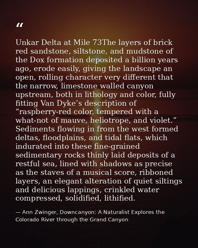 Unkar Delta at Mile 73The layers of brick red sandstone, siltstone, and mudstone of the Dox formation deposited a billio — Ann Zwinger, Downcanyon: A Naturalist Explores the Colorado River through the Grand Canyon