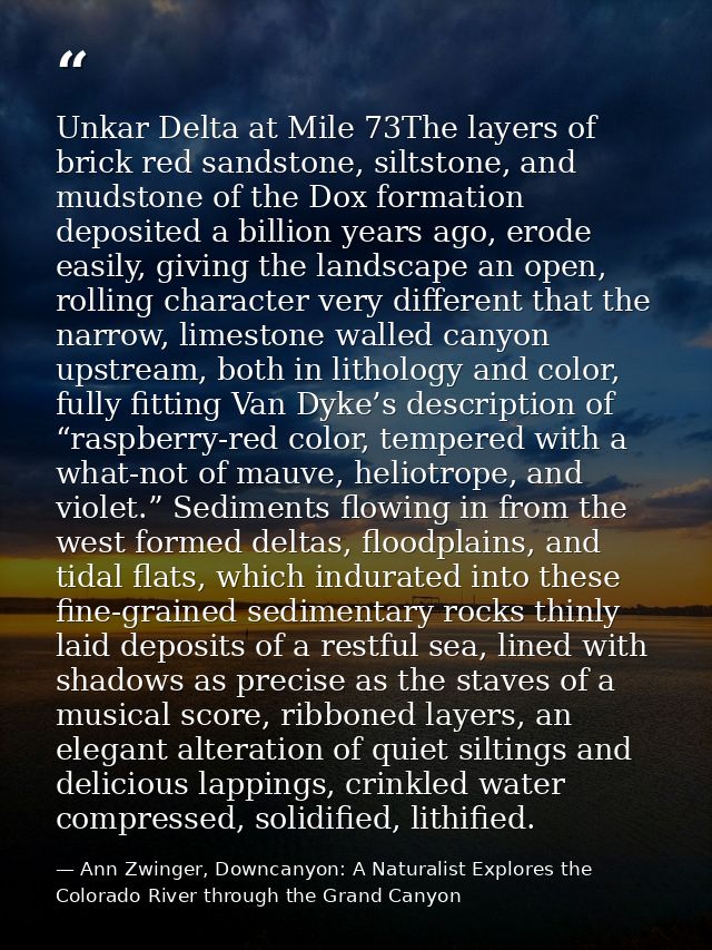 Unkar Delta at Mile 73The layers of brick red sandstone, siltstone, and mudstone of the Dox formation deposited a billio — Ann Zwinger, Downcanyon: A Naturalist Explores the Colorado River through the Grand Canyon