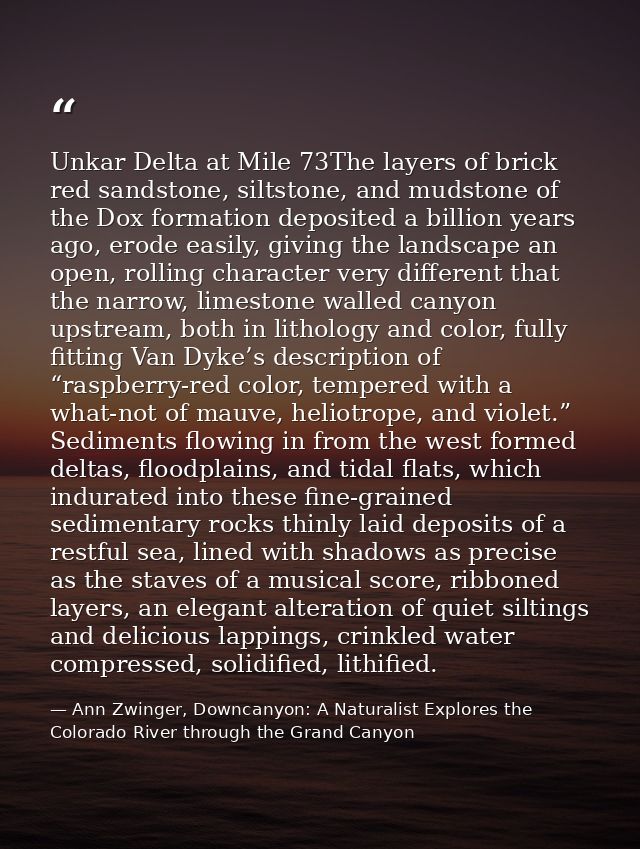 Unkar Delta at Mile 73The layers of brick red sandstone, siltstone, and mudstone of the Dox formation deposited a billio — Ann Zwinger, Downcanyon: A Naturalist Explores the Colorado River through the Grand Canyon