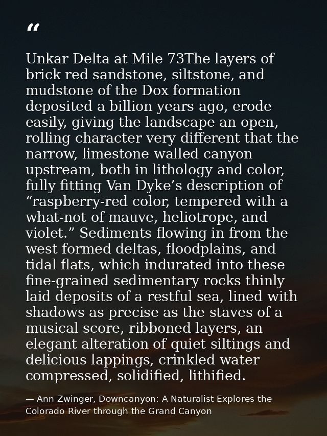 Unkar Delta at Mile 73The layers of brick red sandstone, siltstone, and mudstone of the Dox formation deposited a billio — Ann Zwinger, Downcanyon: A Naturalist Explores the Colorado River through the Grand Canyon