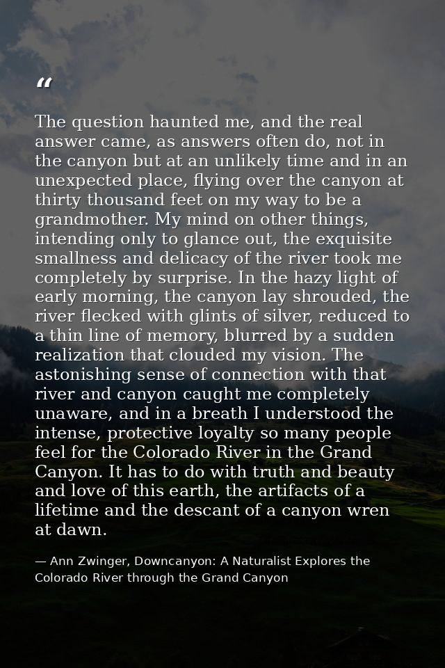 The question haunted me, and the real answer came, as answers often do, not in the canyon but at an unlikely time and in — Ann Zwinger, Downcanyon: A Naturalist Explores the Colorado River through the Grand Canyon