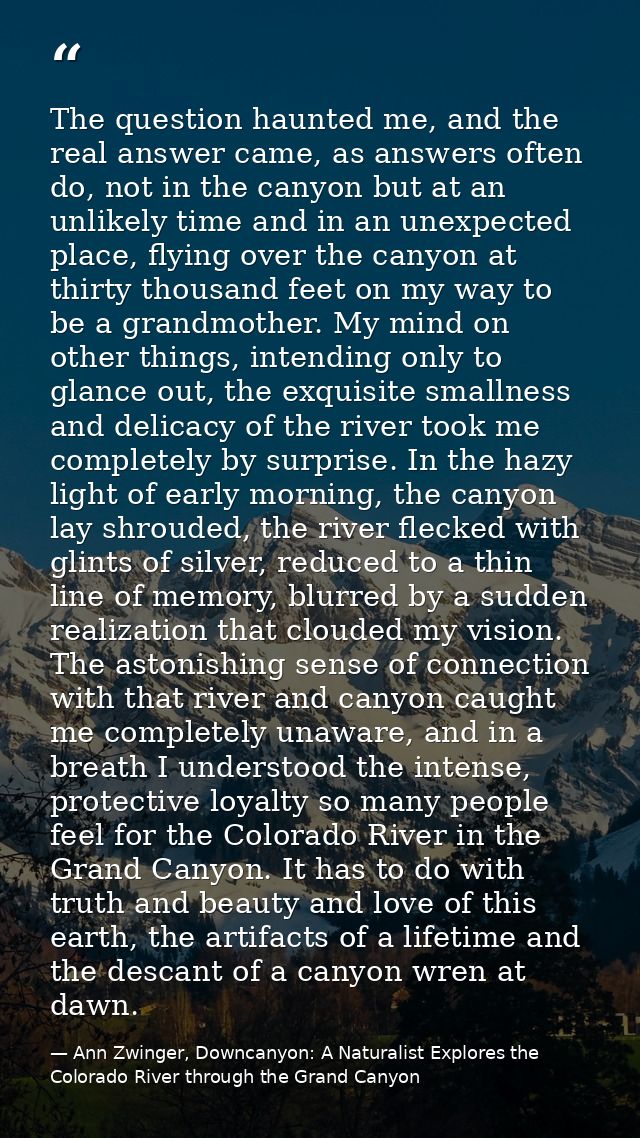 The question haunted me, and the real answer came, as answers often do, not in the canyon but at an unlikely time and in — Ann Zwinger, Downcanyon: A Naturalist Explores the Colorado River through the Grand Canyon