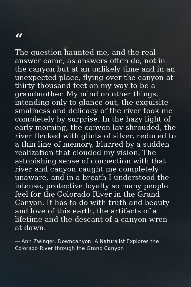 The question haunted me, and the real answer came, as answers often do, not in the canyon but at an unlikely time and in — Ann Zwinger, Downcanyon: A Naturalist Explores the Colorado River through the Grand Canyon