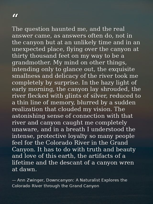 The question haunted me, and the real answer came, as answers often do, not in the canyon but at an unlikely time and in — Ann Zwinger, Downcanyon: A Naturalist Explores the Colorado River through the Grand Canyon