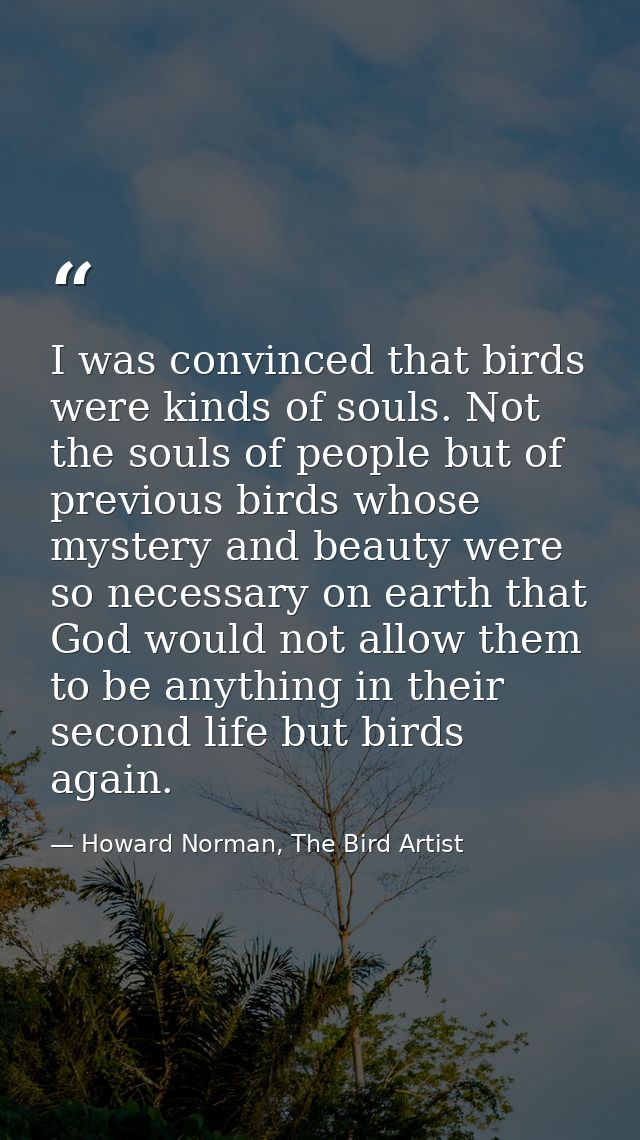 I was convinced that birds were kinds of souls. Not the souls of people but of previous birds whose mystery and beauty w — Howard Norman, The Bird Artist