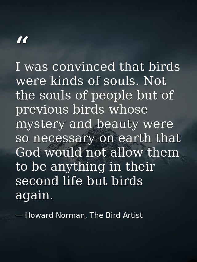 I was convinced that birds were kinds of souls. Not the souls of people but of previous birds whose mystery and beauty w — Howard Norman, The Bird Artist