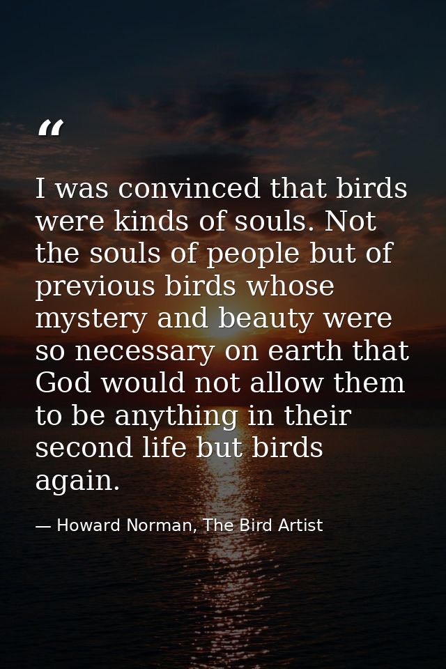 I was convinced that birds were kinds of souls. Not the souls of people but of previous birds whose mystery and beauty w — Howard Norman, The Bird Artist