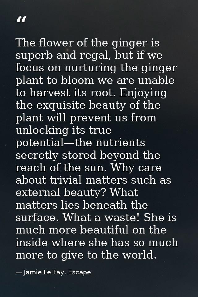 The flower of the ginger is superb and regal, but if we focus on nurturing the ginger plant to bloom we are unable to ha — Jamie Le Fay, Escape