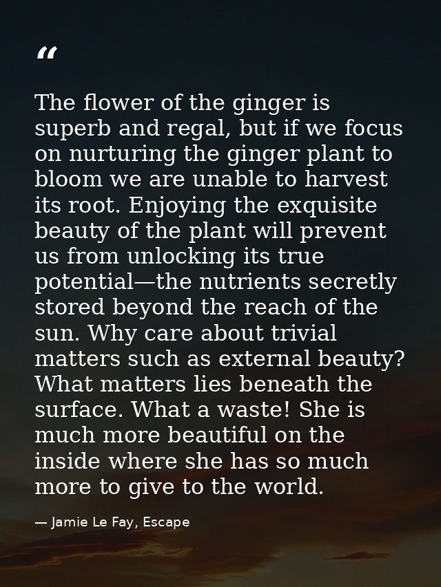 The flower of the ginger is superb and regal, but if we focus on nurturing the ginger plant to bloom we are unable to ha — Jamie Le Fay, Escape