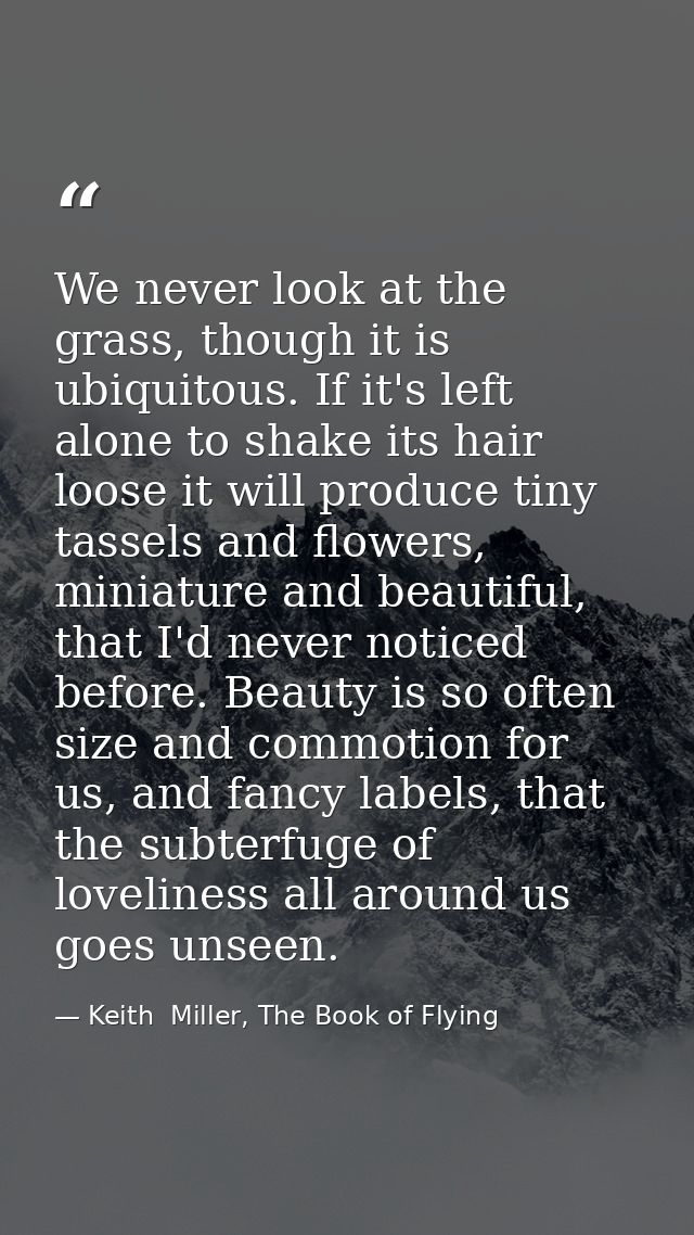 We never look at the grass, though it is ubiquitous. If it's left alone to shake its hair loose it will produce tiny tas — Keith  Miller, The Book of Flying