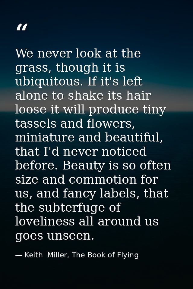 We never look at the grass, though it is ubiquitous. If it's left alone to shake its hair loose it will produce tiny tas — Keith  Miller, The Book of Flying