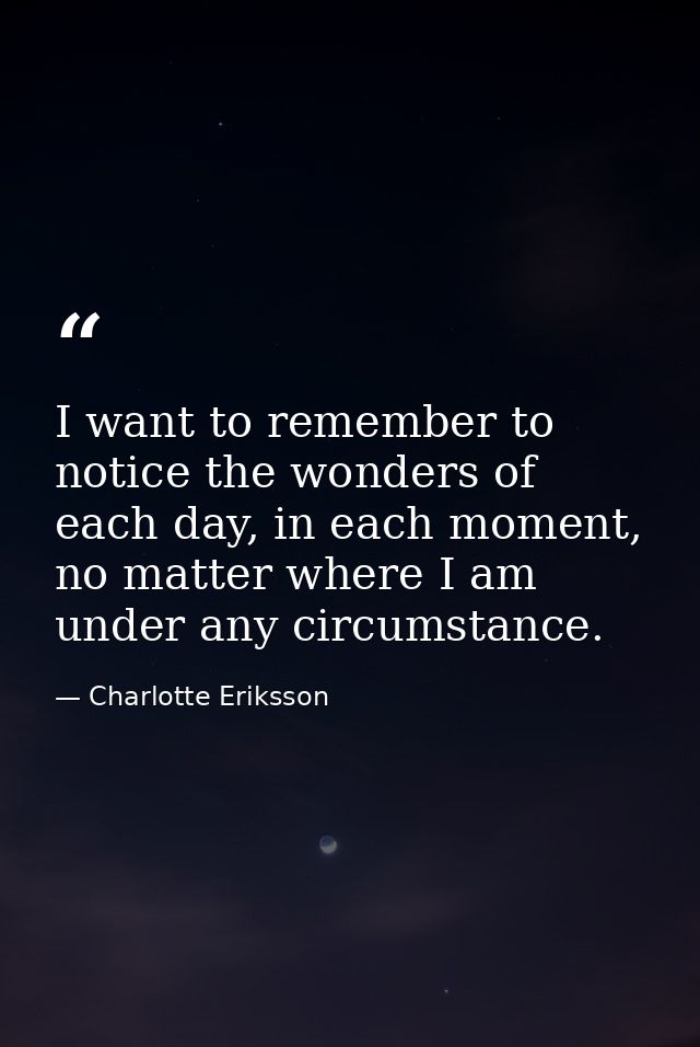 I want to remember to notice the wonders of each day, in each moment, no matter where I am under any circumstance. — Charlotte Eriksson
