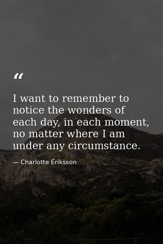 I want to remember to notice the wonders of each day, in each moment, no matter where I am under any circumstance. — Charlotte Eriksson