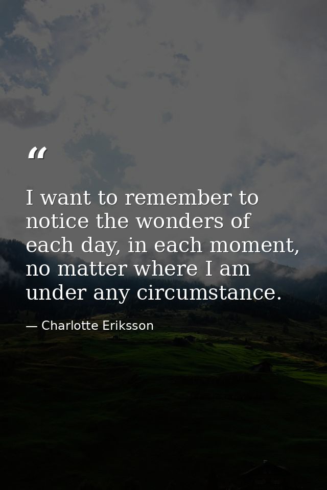 I want to remember to notice the wonders of each day, in each moment, no matter where I am under any circumstance. — Charlotte Eriksson