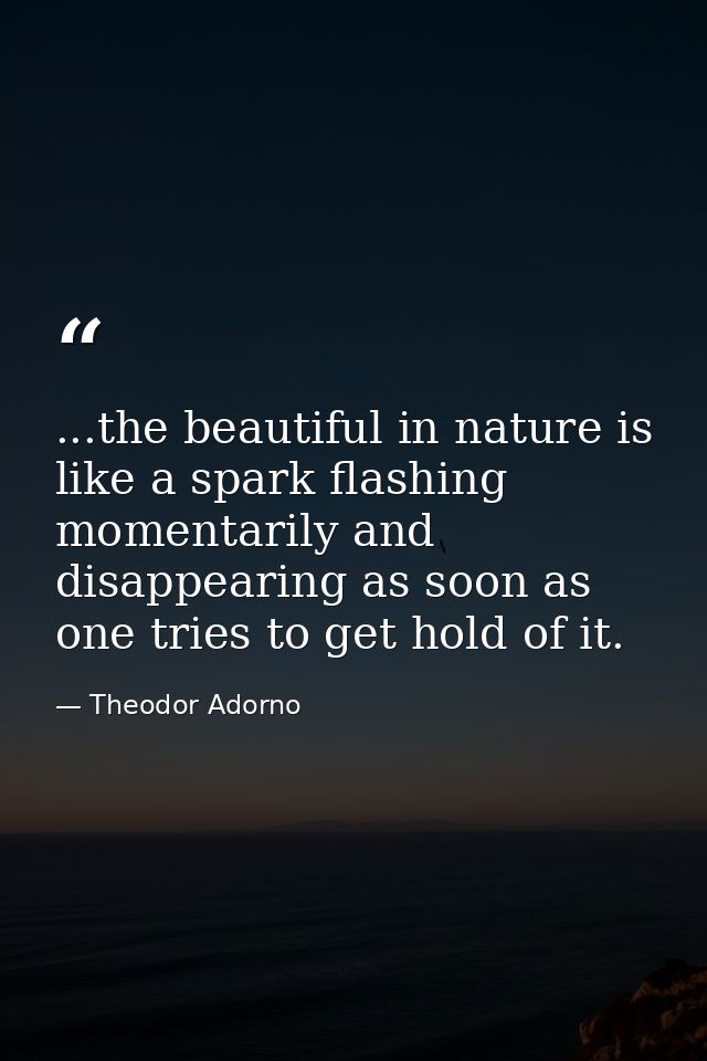 ...the beautiful in nature is like a spark flashing momentarily and disappearing as soon as one tries to get hold of it. — Theodor Adorno