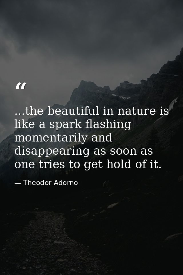 ...the beautiful in nature is like a spark flashing momentarily and disappearing as soon as one tries to get hold of it. — Theodor Adorno