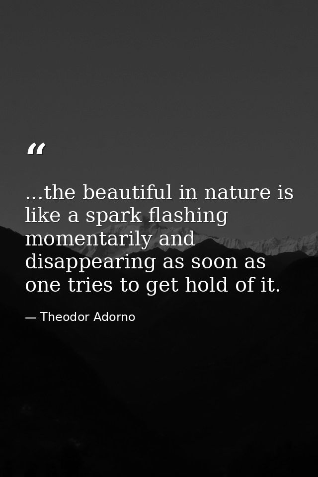 ...the beautiful in nature is like a spark flashing momentarily and disappearing as soon as one tries to get hold of it. — Theodor Adorno