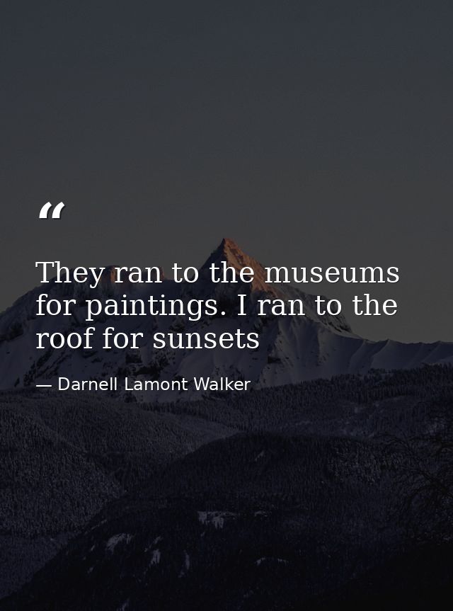 They ran to the museums for paintings. I ran to the roof for sunsets — Darnell Lamont Walker