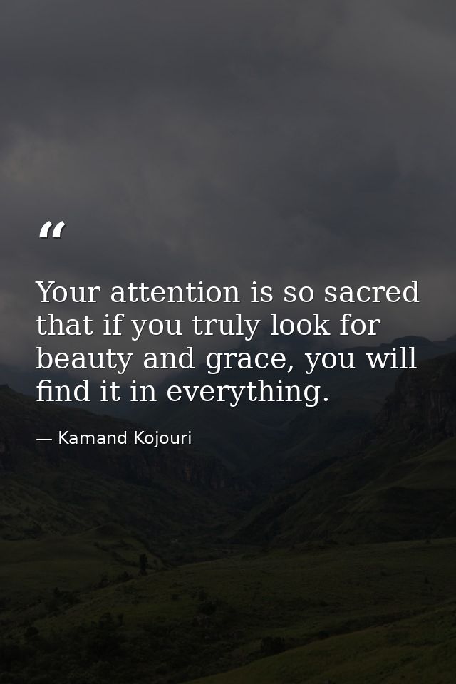 Your attention is so sacred that if you truly look for beauty and grace, you will find it in everything. — Kamand Kojouri