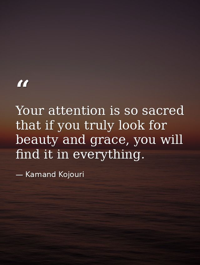Your attention is so sacred that if you truly look for beauty and grace, you will find it in everything. — Kamand Kojouri