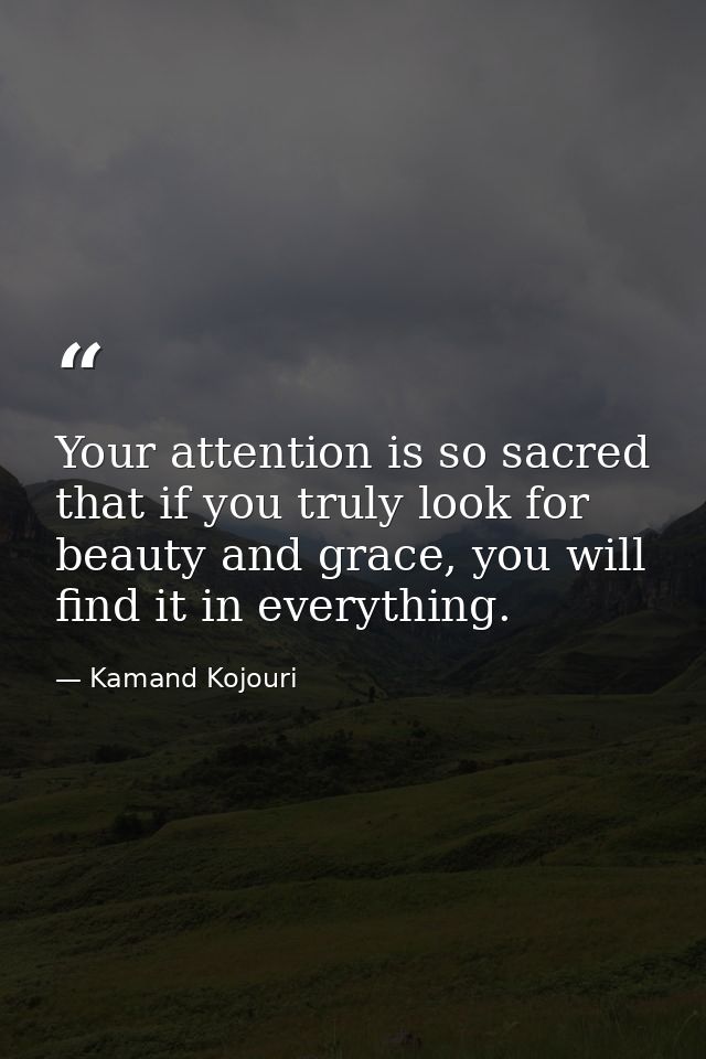 Your attention is so sacred that if you truly look for beauty and grace, you will find it in everything. — Kamand Kojouri
