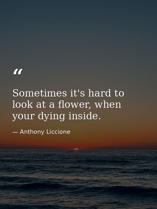 Sometimes it's hard to look at a flower, when your dying inside. — Anthony Liccione