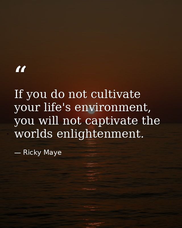 If you do not cultivate your life's environment, you will not captivate the worlds enlightenment. — Ricky Maye