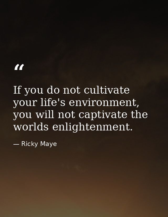 If you do not cultivate your life's environment, you will not captivate the worlds enlightenment. — Ricky Maye