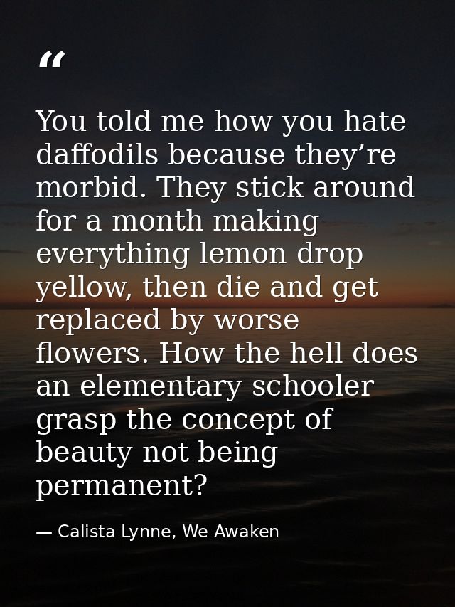 You told me how you hate daffodils because they’re morbid. They stick around for a month making everything lemon drop ye — Calista Lynne, We Awaken
